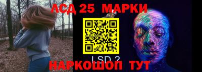 Альфа ПВП Малгобек