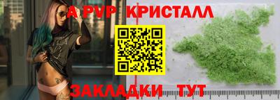 Альфа ПВП Малгобек