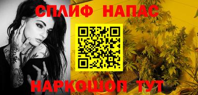 Альфа ПВП Малгобек