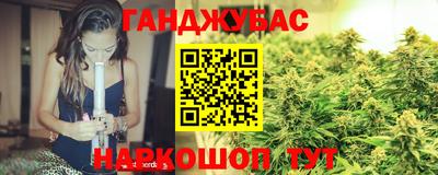Альфа ПВП Малгобек