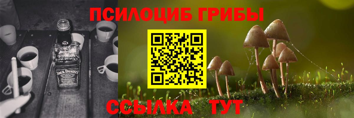 Псилоцибиновые грибы мухоморы  Вход с VPN  Гуково  Псилоцибиновые грибы прущие грибы 